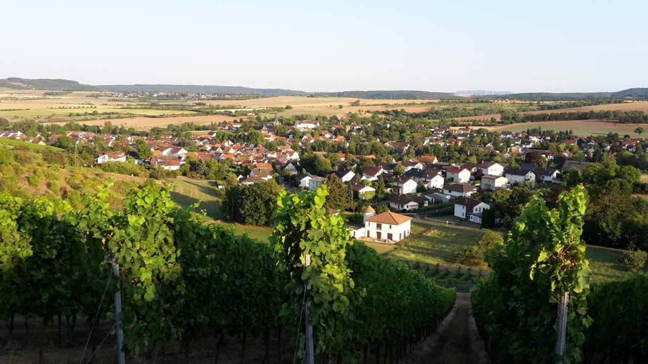Haus Mit Seele Im Nahetal Weinsheim  Exteriér fotografie