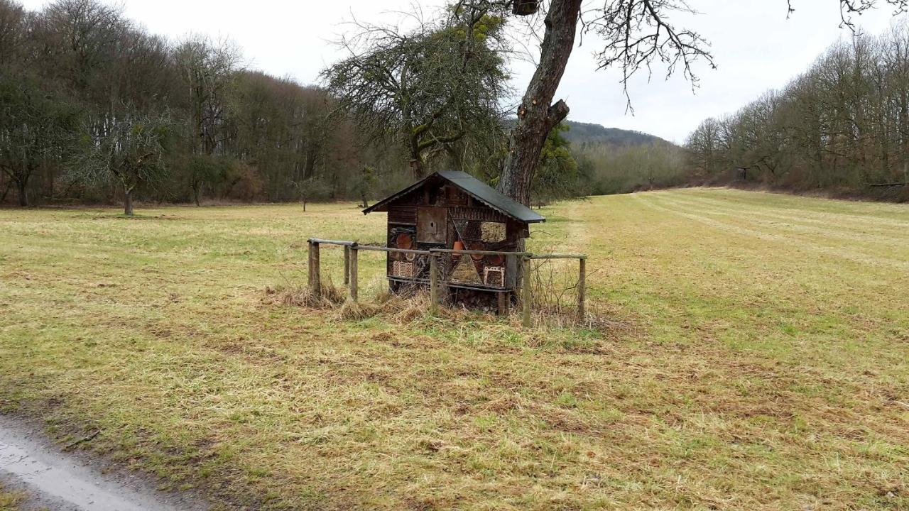 Haus Mit Seele Im Nahetal Weinsheim  Exteriér fotografie