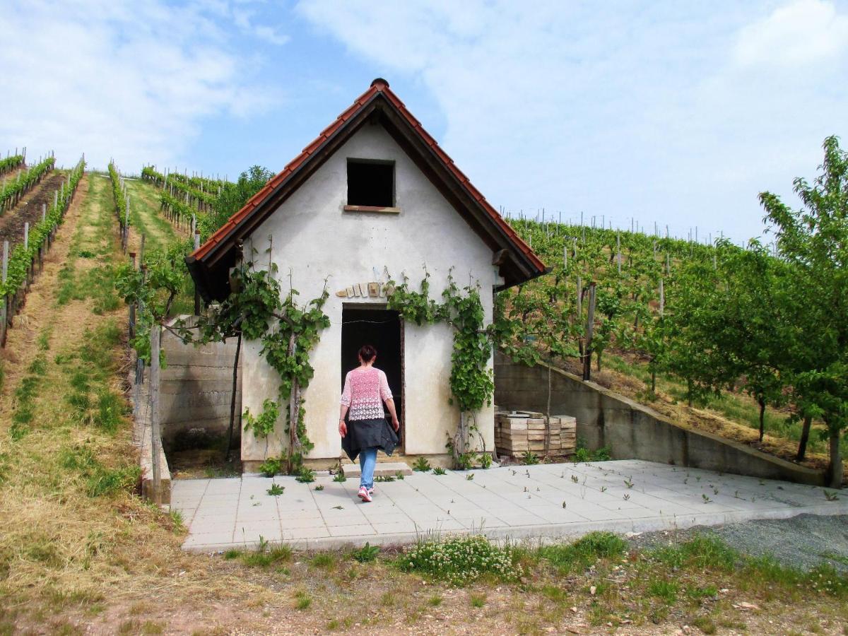Haus Mit Seele Im Nahetal Weinsheim  Exteriér fotografie