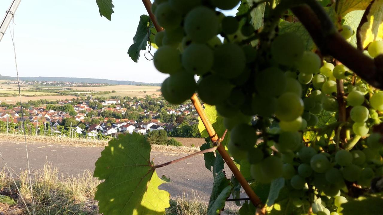 Haus Mit Seele Im Nahetal Weinsheim  Exteriér fotografie