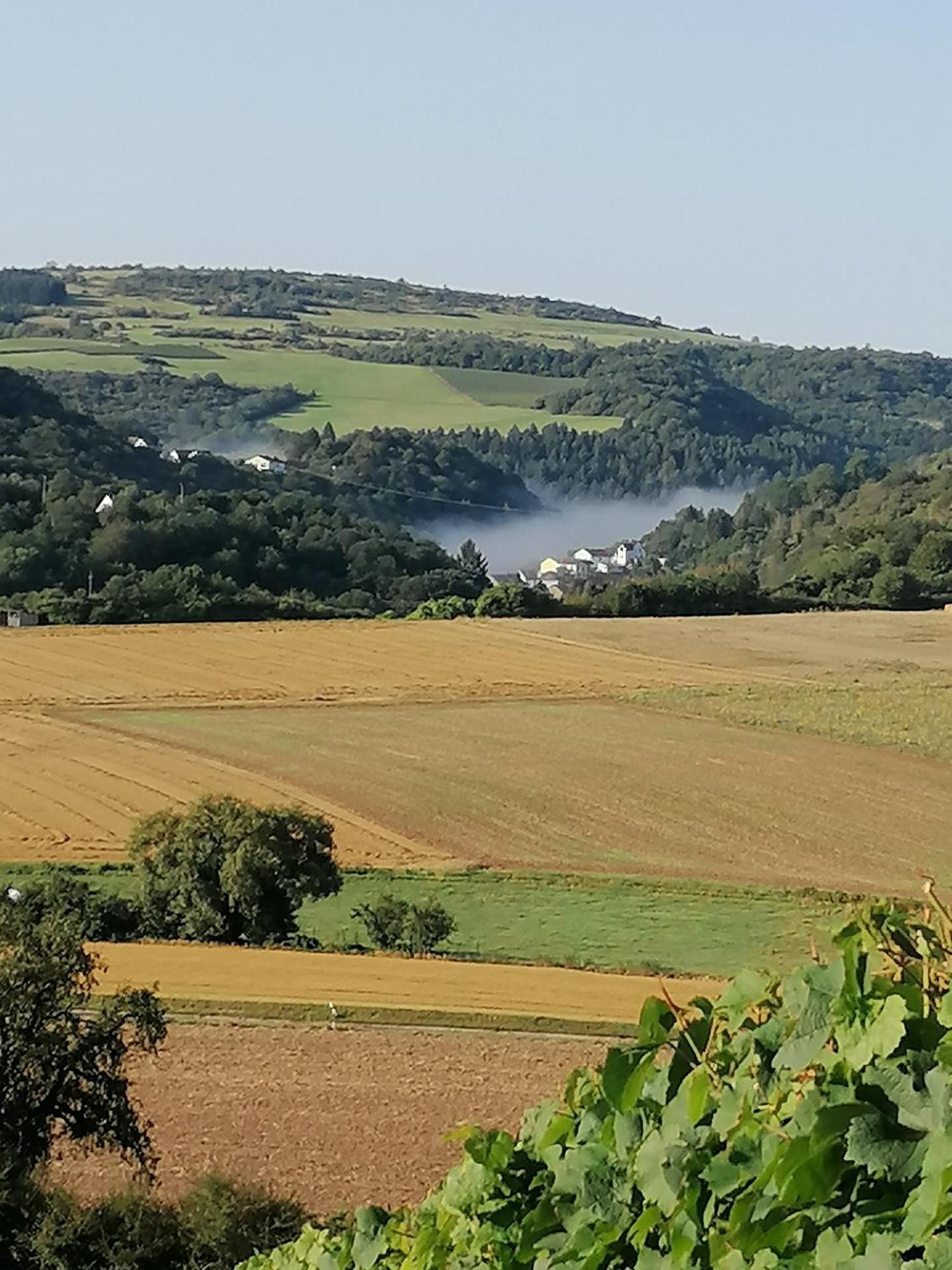 Haus Mit Seele Im Nahetal Weinsheim  Exteriér fotografie